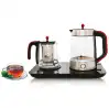 چای ساز صفحه ای لمسی 1750 وات ناساالکتریک NS-513 رنگ مشکی